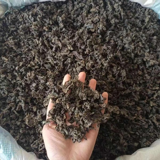 驻马店甘肃地皮菜，地衣菜，地木耳，纯野生，天然