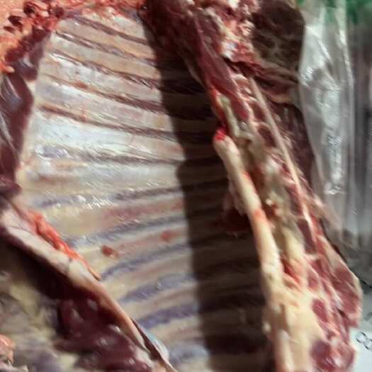 荆门生鲜羊肉