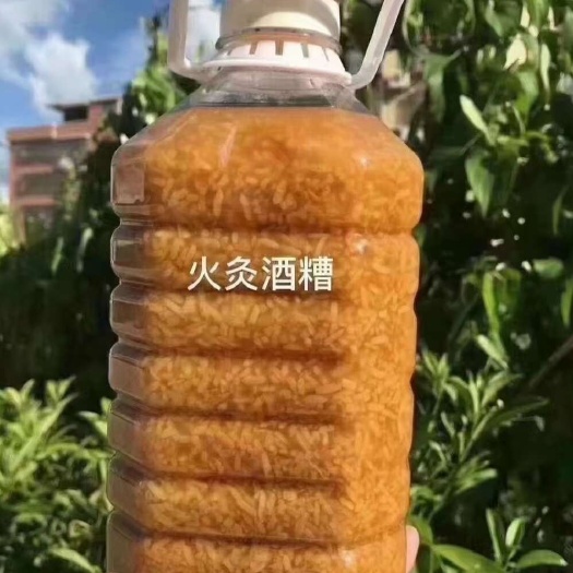 客家黄酒糟 广东河源农家火灸糯米酒糟酿酒甜型月子甜米酒酿包邮