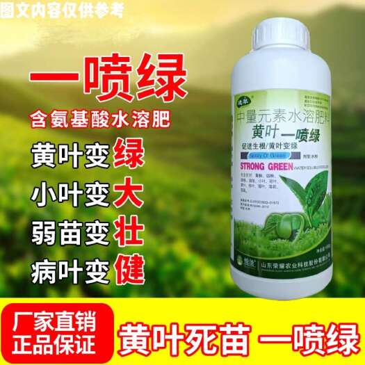 陆丰市黄叶一喷绿，增绿促长叶片厚，黄叶变绿叶弱苗变壮病叶变健！
