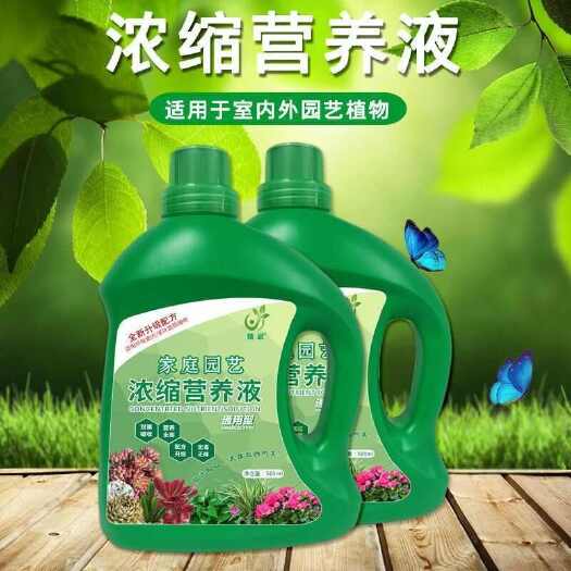 安远县绿植通用型营养液多肉植物绿萝发财树富贵竹水养土培盆栽水溶肥料