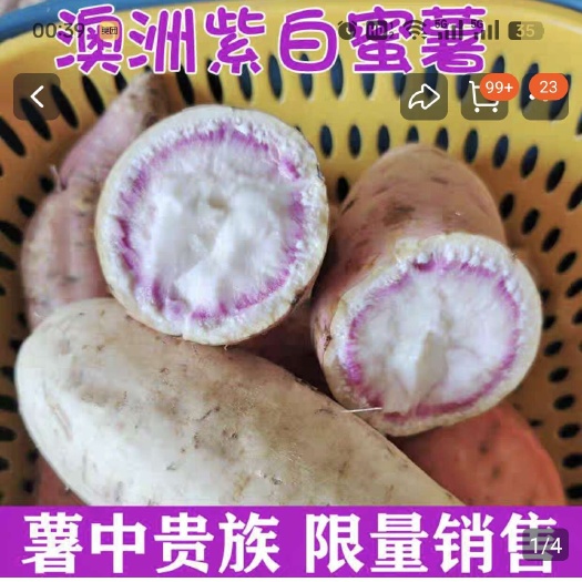 仁寿县澳洲紫白密薯