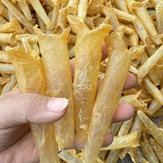 北海85-95头一斤黄花胶 清水货 黄花筒 花胶鱼胶批发