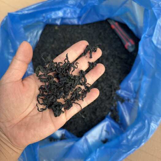 北海海藻螺旋藻海带牙 海洋植物 凉拌