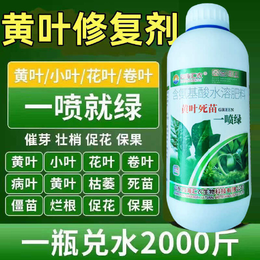 陆丰市一喷绿花卉果树蔬菜叶面肥果树一夜绿叶绿素生长素绿叶素通用型