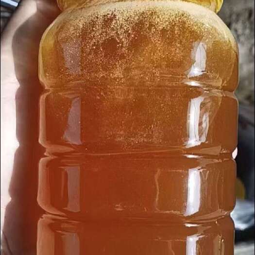 来宾土蜂蜜