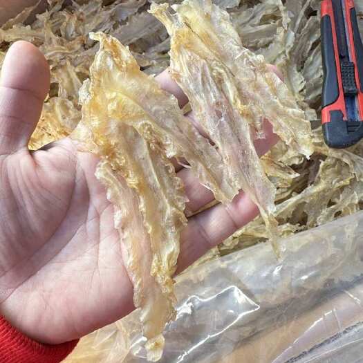 北海工厂批发 花胶鱼胶 鳕鱼胶 150-200头一斤