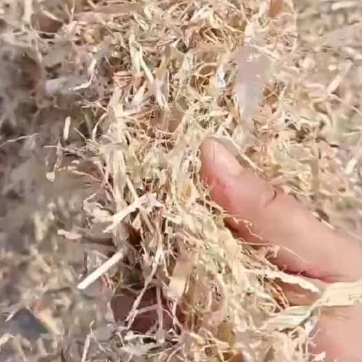 洮南市柔丝玉米秸秆优质草块牛马羊饲草