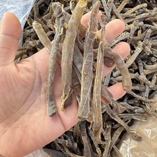 北海北海灰沙虫 无沙 大号沙虫干货
