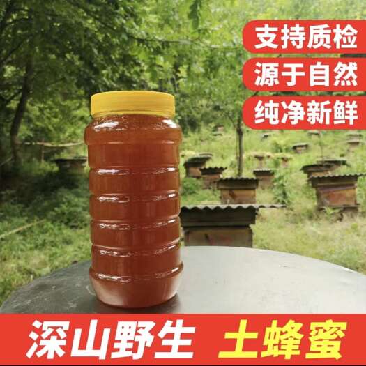 旬邑县陕西秦岭农家散养土蜂蜜秦岭土蜂蜜农家木桶一年割老巢压榨