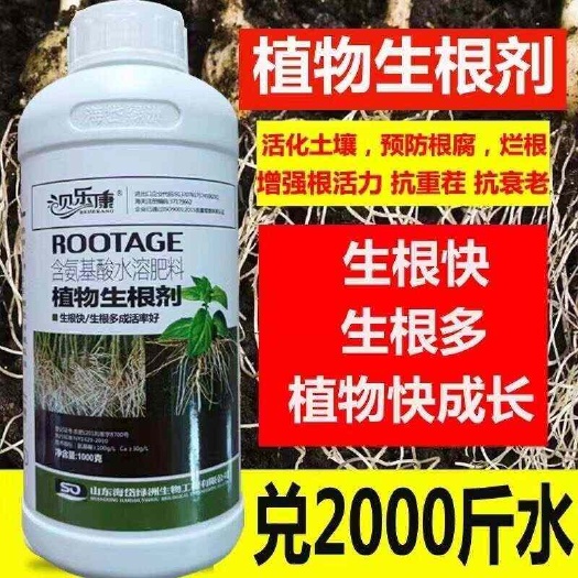 强力生根壮苗剂，生根养根，补根壮根，提高成活率，抗病，增产