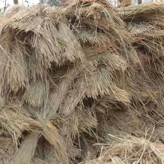 郯城县2024干稻草、治沙草、手把草、牛羊草料。