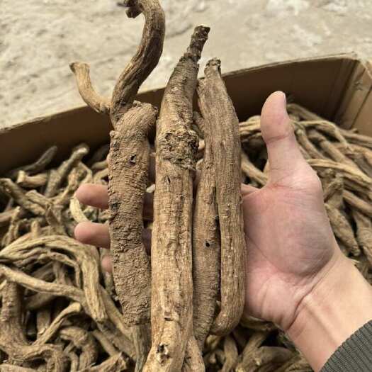 玉林西藏党参货靓质量保证一手货源 产地直发