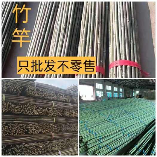 张家界湖南竹竿小竹竿竹竿竹子豆角架批发架蔬菜搭架黄瓜围栏批发