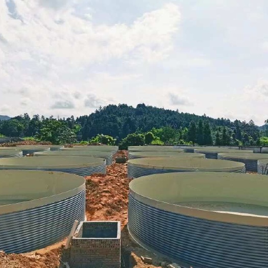 陆基高密度养殖设备PP材料全套智能化工厂化养殖设备