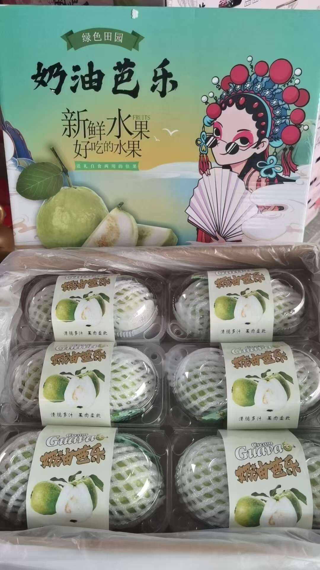 福建漳州产地直发红心芭乐白心芭乐番石榴批发