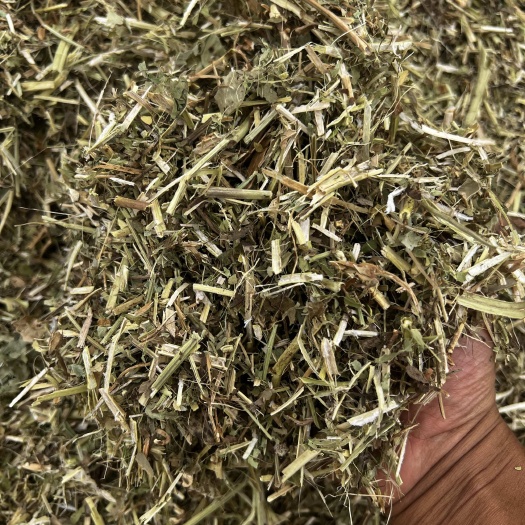 兰考县河南花生秧优质牧草喂牛马羊兔驴