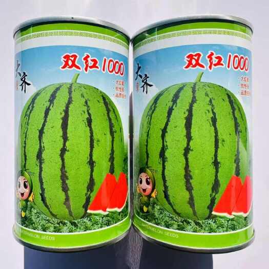沭阳县大齐双红1000大果西瓜种子品种皮薄抗裂花皮红瓤西瓜种籽露天