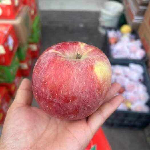 广州新疆阿克苏冰糖心苹果 广州增城