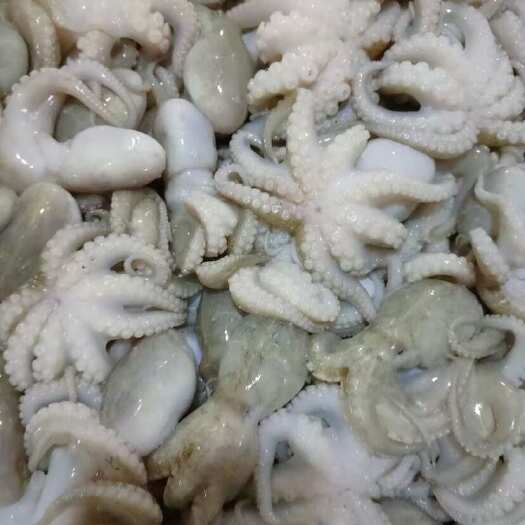 北海章鱼，八爪鱼，去内脏去牙，高品原料，清蒸油炸爆炸火锅都可以用