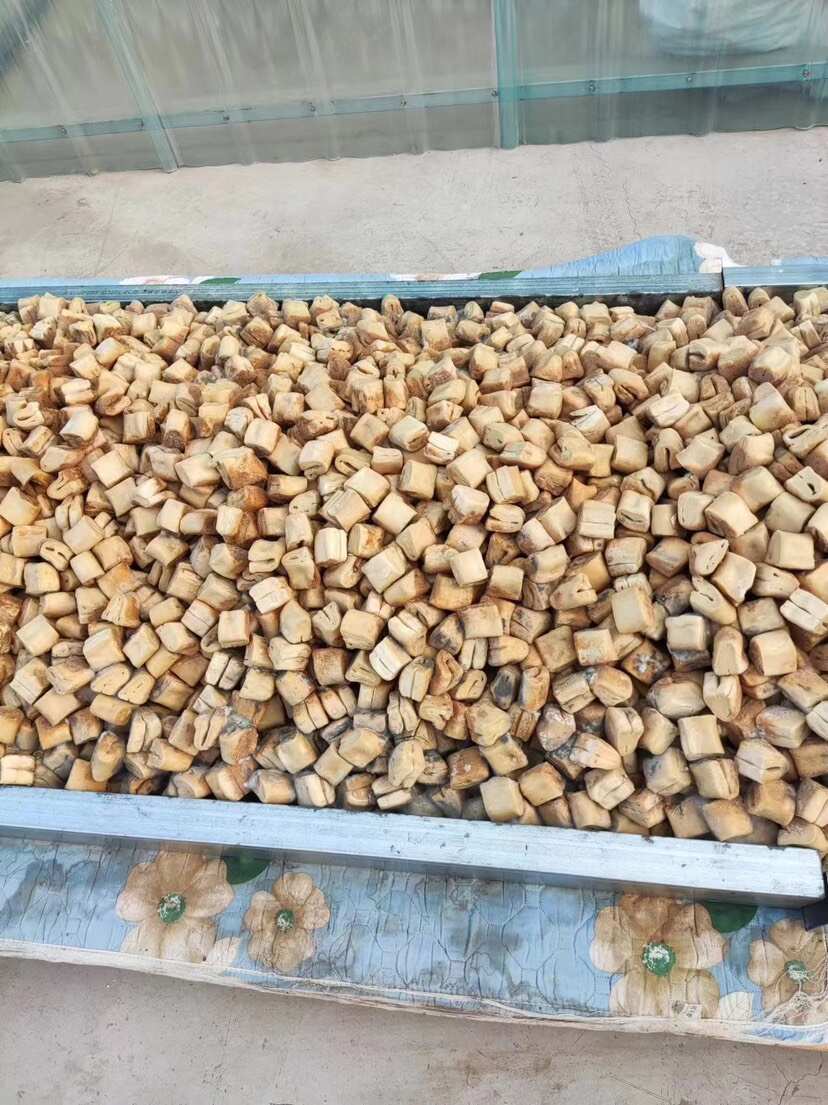 甜面酱1000g 河北省平乡县特产优质调味品