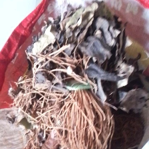 云南毛大丁干货10斤发货