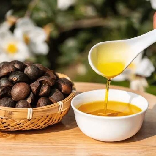 遂昌县浙江遂昌优质压榨山茶油