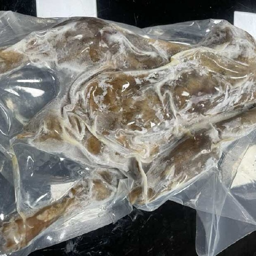 成都荣昌卤鹅 一鹅入魂