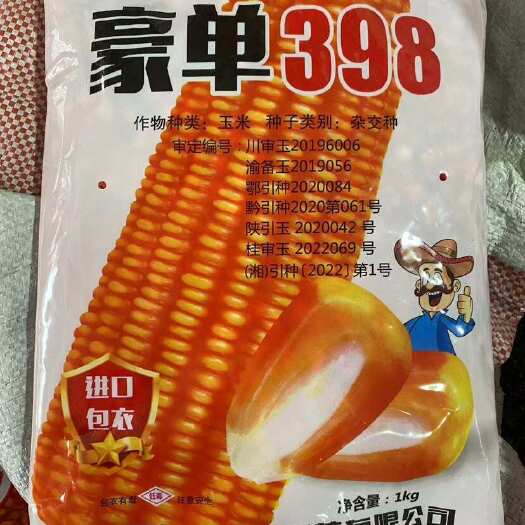 豪单398玉米种子大田种植玉米种子大棒饲料玉米种子