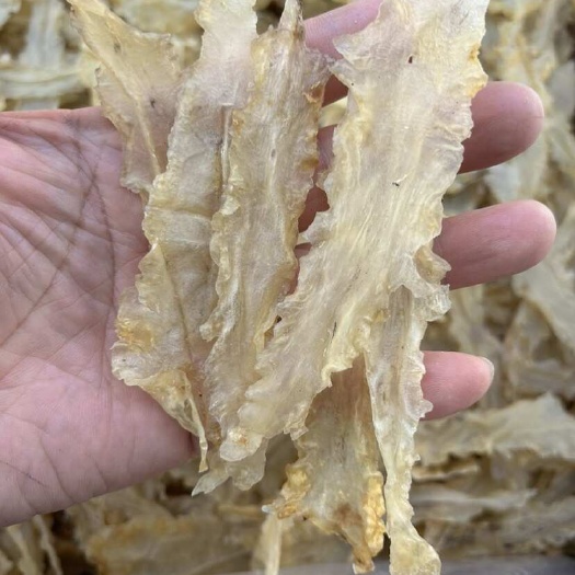 北海雪鱼胶150头左右的货炖汤食材可用礼盒装