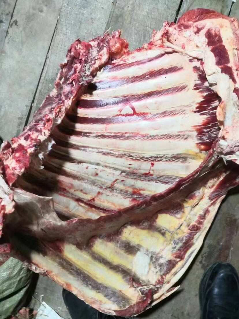 牛肋排多肉（带骨牛排）支持定制