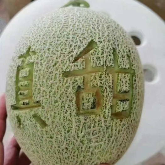 乐东县小蜜脆甜