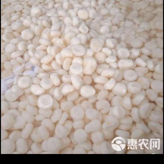 桂林去皮马蹄，清甜化渣本地一手货源，有需要的老板请联系我！