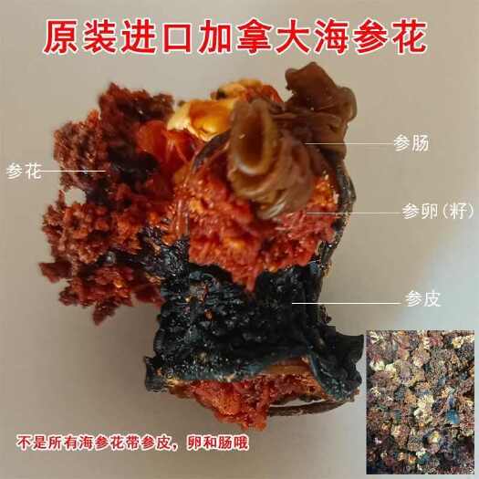 长沙海参花