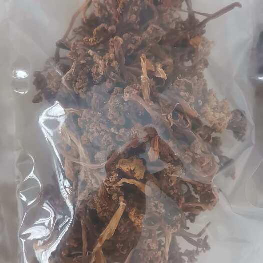 洋县土生土长的秦岭土特产，让您体验大山深处的美味回馈！