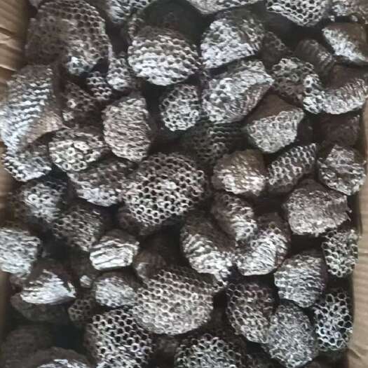 西和县蜂房，马蜂窝，麻子蜂巢