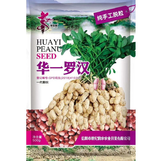安仁县华一罗汉花生种子食用榨油花生籽高产型小粒花生种子包邮发货