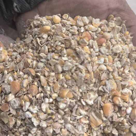 南阳毛粮碎玉米