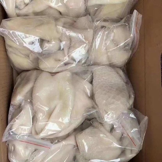 郑州熟羊肚