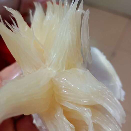 江永县香柚，氺果之乡永州柚中爱马仕，