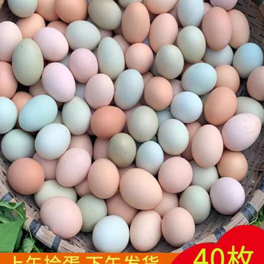 南平新鲜土鸡蛋