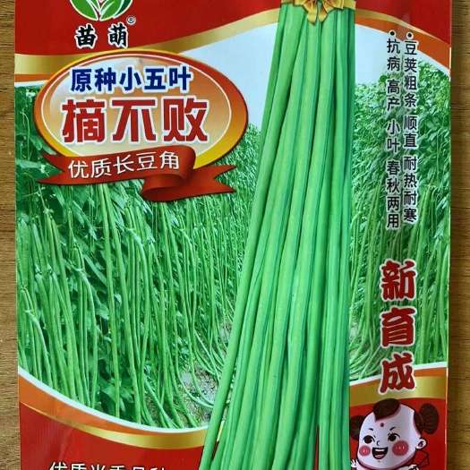架豆王种子豆角种子长豆角种子青豆角种子
