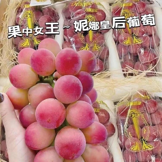 云南妮娜皇后葡萄红宝石妮娜公主女王无籽提子礼盒装