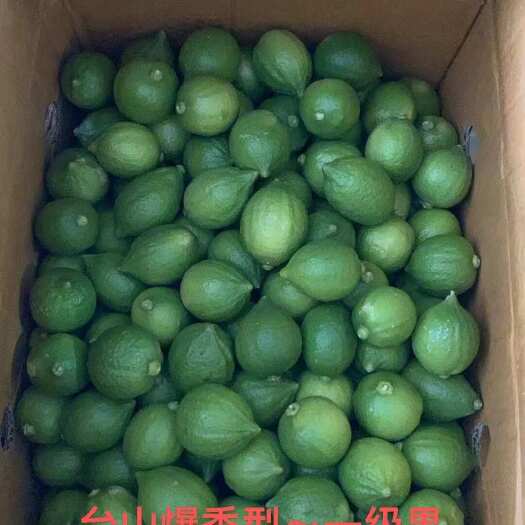 中山市广东江门高品质爆香型香水柠檬