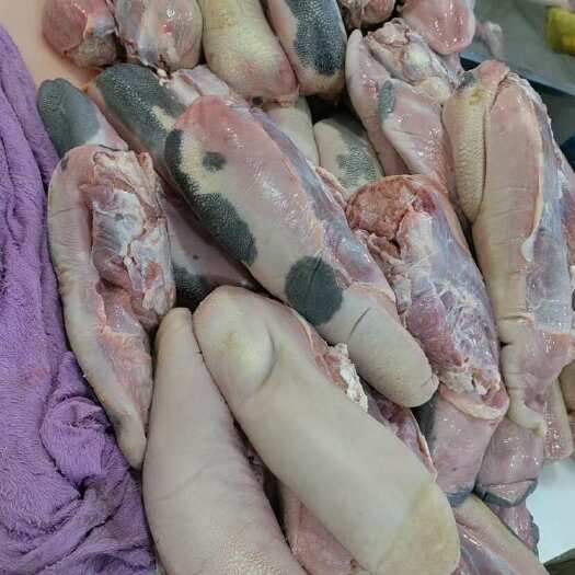 阳信县精品牛舌