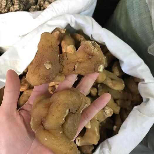 昆明滇黄精  姜黄精  一手货源  价格便宜  质量保证