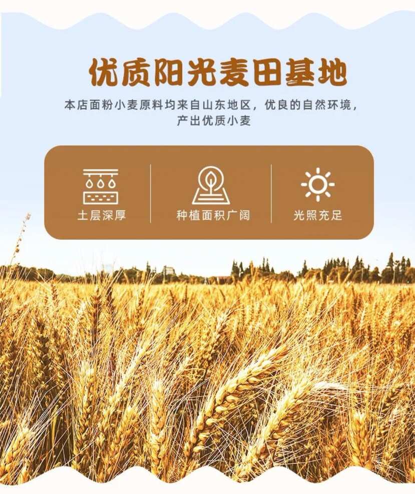 鲜活胚芽面粉一件代发，可供私域爆款，5装源头工厂，可批发