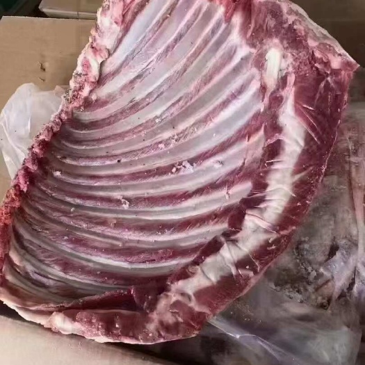羊排  新鲜羔羊羊排