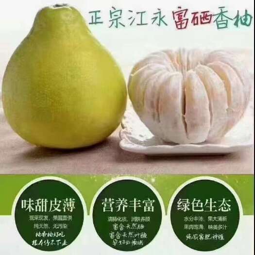 江永县湖南江永老树香柚