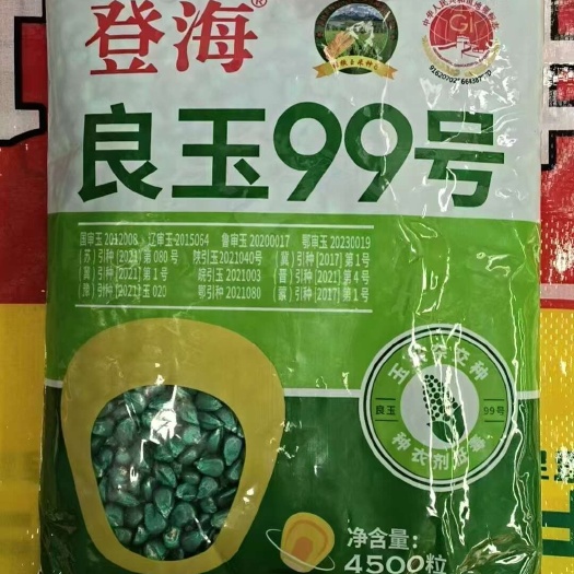 故城县登海良玉99玉米种子种子备案登记证保障品质